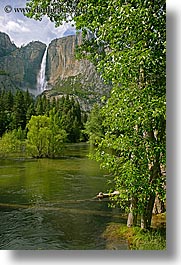 california, falls, nature, rivers, trees, vertical, water, waterfalls, west coast, western usa, yosemite, yosemite falls, photograph