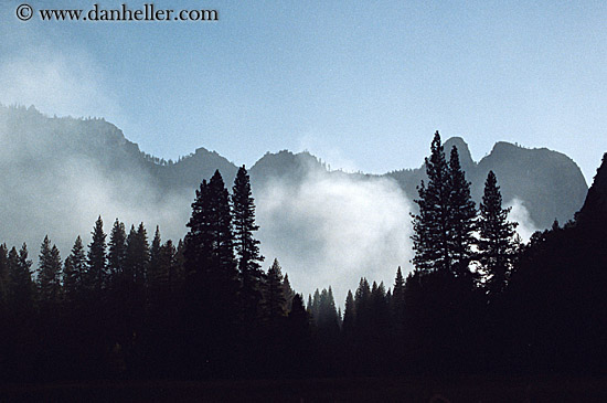 trees-mtns-fog-sil.jpg