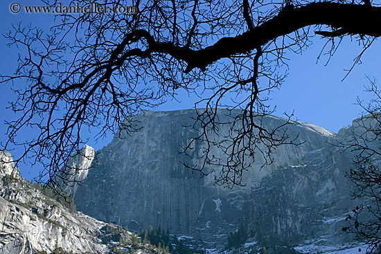 half_dome-n-branch-1.jpg