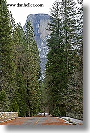 california, half dome, mountains, nature, paths, plants, trees, vertical, west coast, western usa, yosemite, photograph