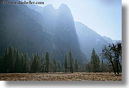california, horizontal, morning, mountains, nature, plants, trees, west coast, western usa, yosemite, photograph