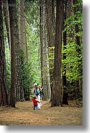 babies, boys, california, childrens, forests, jack and jill, jacks, jills, mothers, nature, people, plants, toddlers, trees, vertical, west coast, western usa, womens, woods, yosemite, photograph