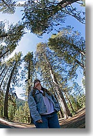california, fisheye, fisheye lens, jills, people, trees, upview, vertical, west coast, western usa, womens, yosemite, photograph