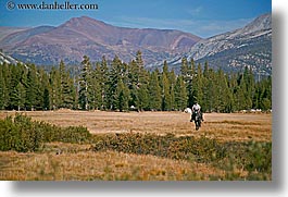california, horizontal, horses, mountains, people, ranger, west coast, western usa, yosemite, photograph