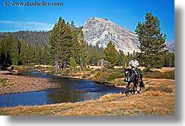 animals, california, horizontal, horses, mountains, nature, people, ranger, rivers, water, west coast, western usa, yosemite, photograph