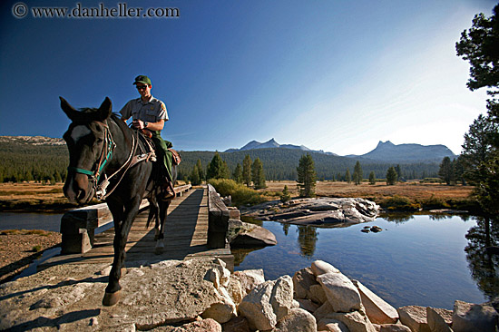 ranger-on-horse-5.jpg