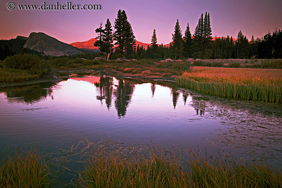 sunset-on-pond-1.jpg