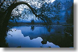 bending, branches, california, horizontal, nature, plants, reflections, rivers, trees, water, west coast, western usa, yosemite, photograph