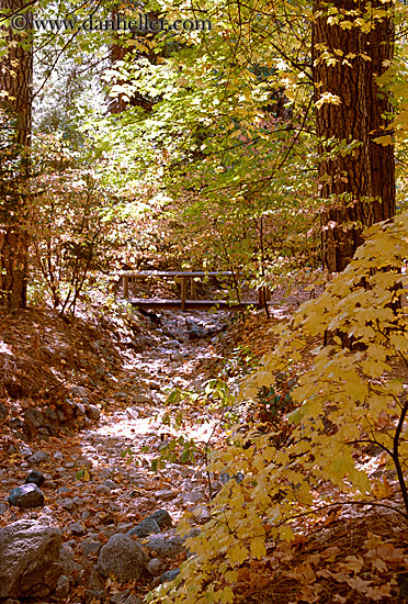 fall-bridge.jpg