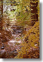 bridge, california, fall foliage, falls, nature, plants, trees, vertical, west coast, western usa, yosemite, photograph