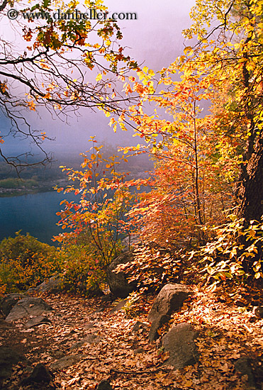 fall-foliage-7.jpg