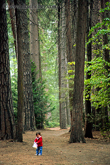 toddler-in-woods-1.jpg