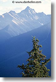 alberta, banff, canada, canadian rockies, mountains, scenics, vertical, photograph