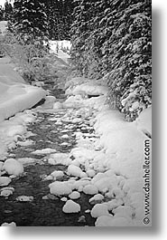 alberta, black and white, canada, canadian rockies, lake louise, mountains, snowfall, vertical, photograph