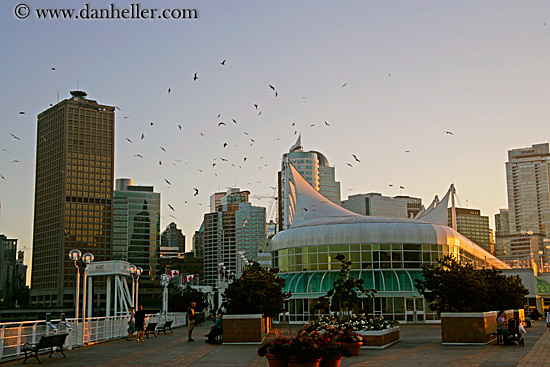 port-vancouver-6.jpg