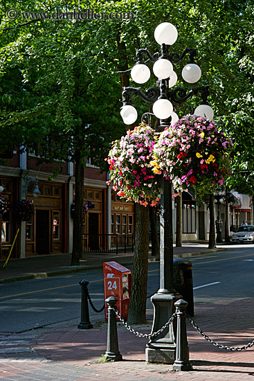 gastown-flowers-lamp_posts-6.jpg