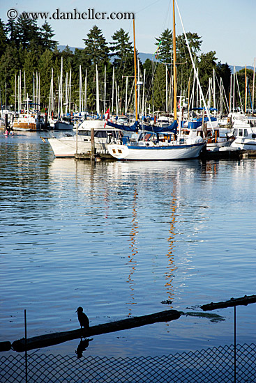 harbor-boats-2.jpg