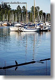 boats, canada, harbor, vancouver, vertical, photograph
