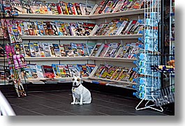 images/Canada/Vancouver/People/dog-in-magazine-store-2.jpg