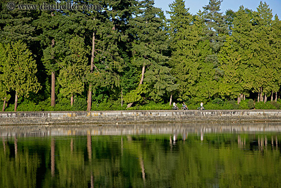 stanley-parkl-path-trees.jpg