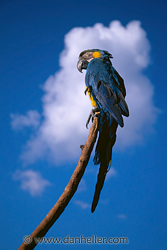 zoo18.jpg