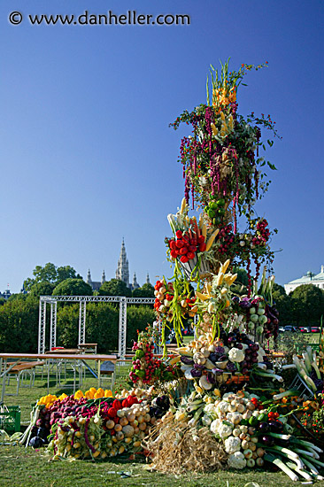 harvest-tree-1.jpg