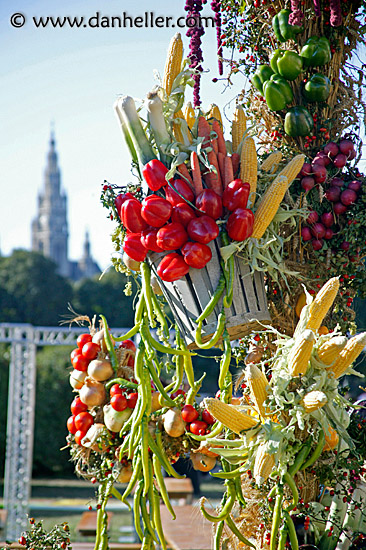 harvest-tree-3.jpg