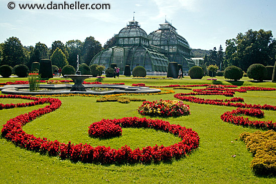 schoenbrunn-palm-house-6.jpg