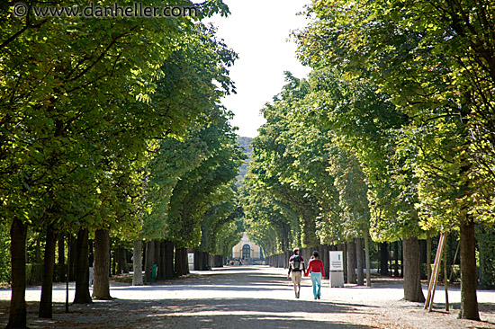 schoenbrunn-paths-1.jpg