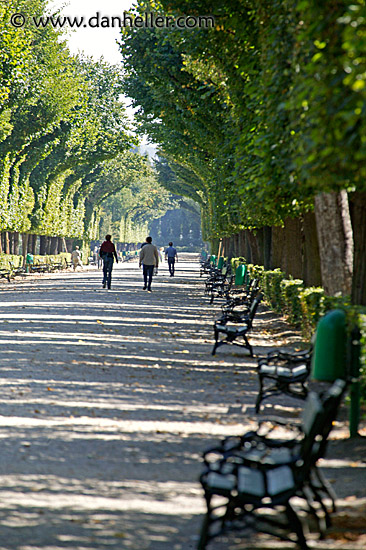 schoenbrunn-paths-3.jpg