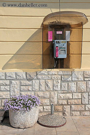 purple-plant-n-telephone-booth.jpg