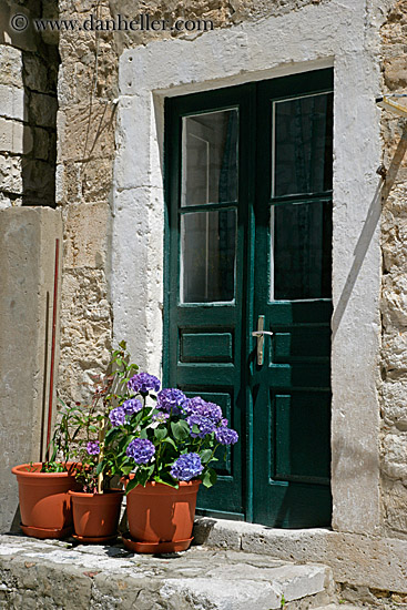 door-n-flowers-1.jpg