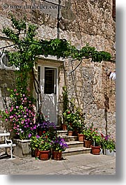 croatia, doors, doors & windows, dubrovnik, europe, flowers, vertical, photograph