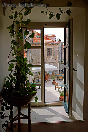 plant-around-window.jpg