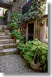 croatia, dubrovnik, europe, flowers, plants, stairs, vertical, photograph