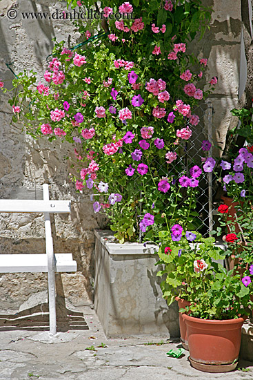 potted-flowers.jpg