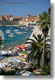 boats, croatia, dubrovnik, europe, harbor, palmtree, rooftops, towns, trees, vertical, photograph