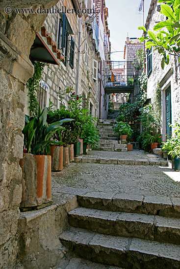 plant-lined-alley.jpg