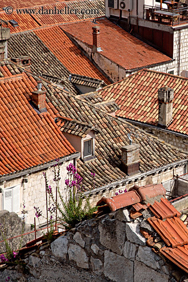 dubrovnik-rooftops-5.jpg
