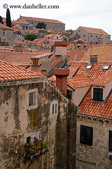 rooftops-n-windows-1.jpg