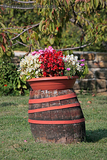 barrel-of-flowers.jpg
