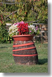 barrels, croatia, europe, flowers, groznjan, vertical, photograph