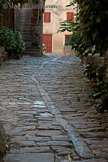 cobblestone-road-n-plants.jpg