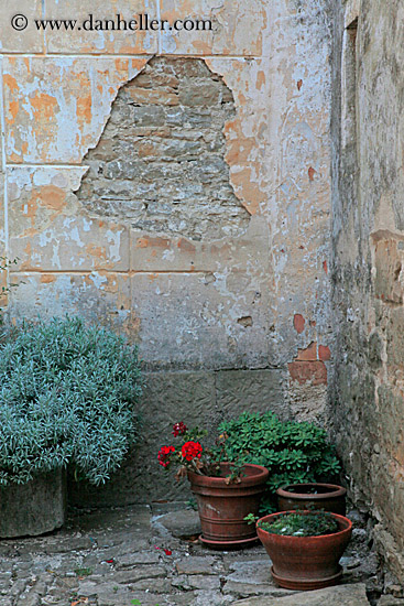 green-plants-n-stone-wall-1.jpg