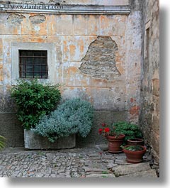 cobblestones, croatia, europe, green, groznjan, materials, plants, stones, vertical, walls, photograph