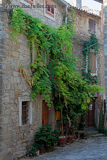 green-plants-n-stone-wall-4.jpg