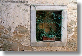 croatia, europe, green, groznjan, horizontal, plants, stones, walls, photograph
