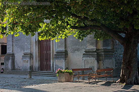 lit-leaves-flowers-n-bench-1.jpg