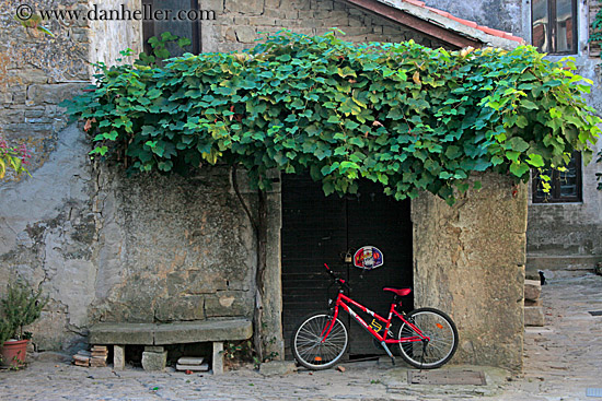 red-bike-n-green-ivy-1.jpg