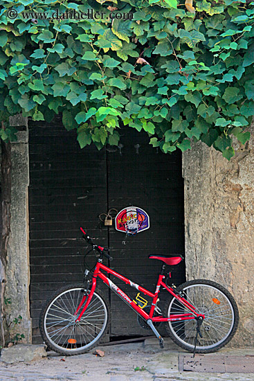 red-bike-n-green-ivy-2.jpg